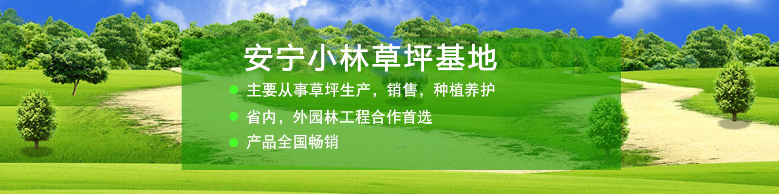 云南小林草坪批發(fā)「云南草坪自產(chǎn)自銷」云南最大的草坪種植基地