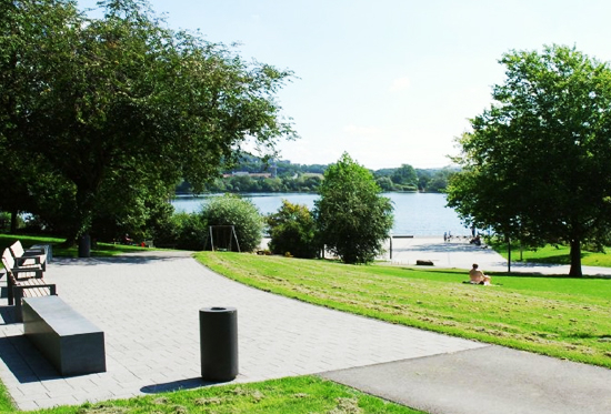 景區(qū)公園草坪工程