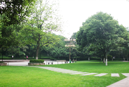 公園草坪綠化